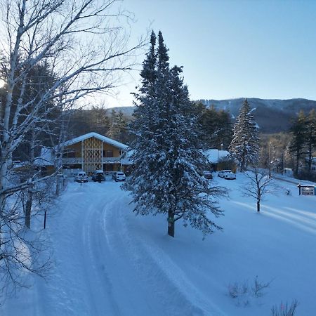 Snowdon Chalet Motel Londonderry Extérieur photo